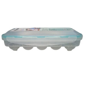 CONSERVADOR PLASTICO HUEVERA